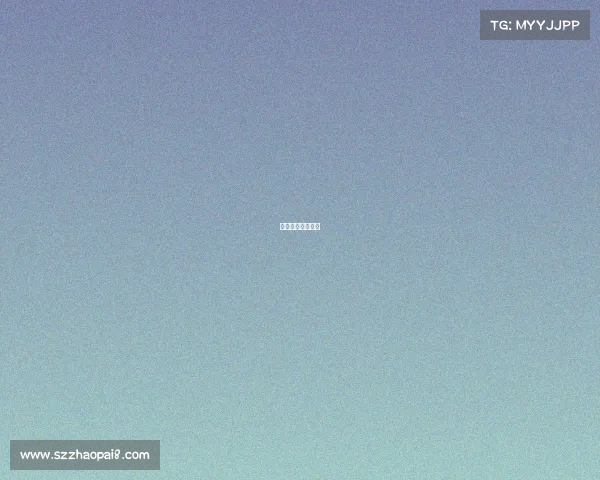 业余泰拳比赛规则